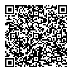 意识已经开始混乱了……这个从他演练自己掌握的秘术的景象开始模糊不清这一点就可以看得出了二维码生成