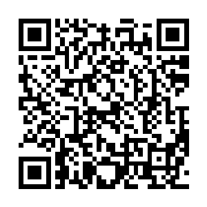 感受中从烈日中挣脱出来的火焰巨鸟那睥睨天下的气势二维码生成