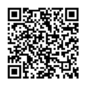 感受到五脏翻腾的张青山也看的出田不缺再拼命二维码生成