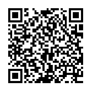 感受到他呼吸正常心跳正常全身没有缺胳膊少腿后这才放下心来二维码生成