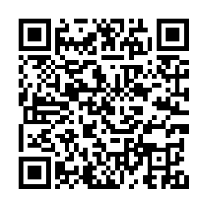 感受到任天凡小鹰王还有无数强大神识扫了过来二维码生成