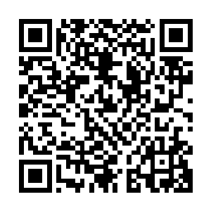 感受到尊者眼中的那抹刺骨的冷芒和自体内释放出来的巨大威压二维码生成