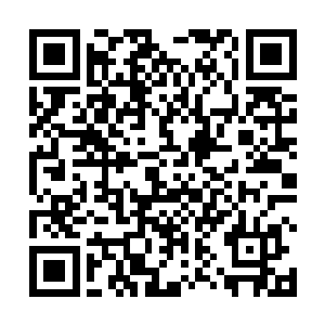 感受到这股恐怖的血色的光柱上面散发出来的气息之后二维码生成