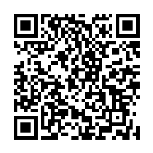 感受到这黑色的雷龙上面散发出来的恐怖的毁灭的气息之后二维码生成