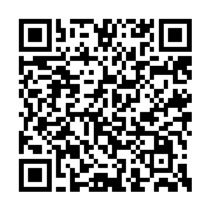 感受到齐天麟的攻击之后身上顿时也是青光大盛二维码生成