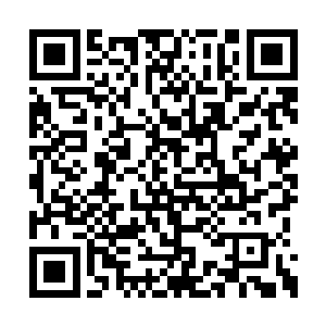 感受到龙正烈略微冷漠的眼神在自己身上停留过二维码生成