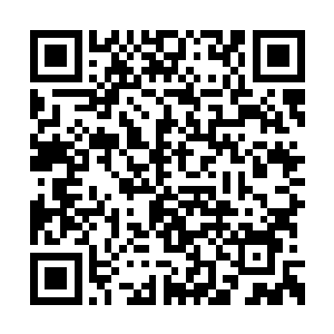 感受着体内妖元不受控制的被这诡异的藤条吞噬二维码生成