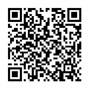 感受着温和的药力如同细流一般不断地从体内汩汩流出二维码生成