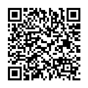 感应到母蛊传回来的消息和与子蛊越来越近的联系二维码生成