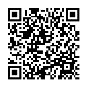 感情吸收了血玛瑙的糖豆已能帮自己的士兵恢复体力了二维码生成