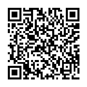 感情这个芭蕉精还是眼前这个叫做叶红梅的一手养大的二维码生成