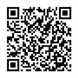 感情这些家伙身上可能连丹药都没有带就过来了二维码生成