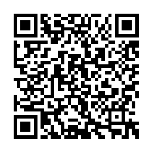 感情这种事情真是不分国界不分年龄的琢磨人啊二维码生成