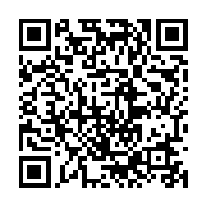 感知不到蕴藏在我们羸弱外表之下的潜力和危险性二维码生成