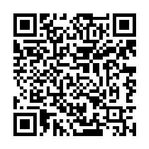 感知着熟悉而又陌生的力量在四肢百骸中缓缓流转二维码生成