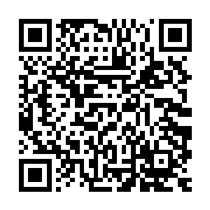 感知超强的罗瑞就点出了人群中有几个对马文敌意特别强的存在二维码生成