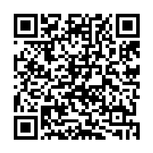 感觉今晚肯定有什么大事发生……所以想早些让她们回去二维码生成