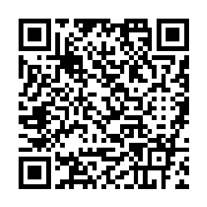 感觉你仙园内那一株葱茏青树比过去活跃了许多样子二维码生成