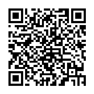 感觉你这个人情欠得很不值……你们人族若都是像你这般二维码生成