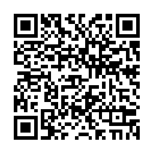 感觉到从那些碧绿色能量光柱中所散发出来的强大气息二维码生成