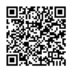 感觉到巨大危险的陌降元君终于也开启自己的领域二维码生成