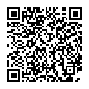 感觉到自家秀身上散发出一种上位者独有的威严……好恐怖的样子二维码生成
