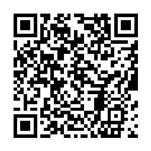 感觉到自己被盯上的目标也会先销毁晶脑中存储的所有信息二维码生成