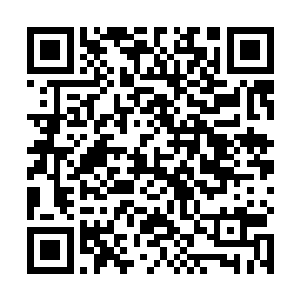 感觉到雪如楼那他自己觉得好笑的患得患失的幼稚行为二维码生成