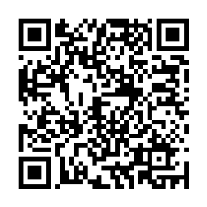 感觉好等有机hui的时候在这里买上个小农场什么的二维码生成