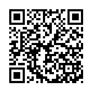 感觉就像是一块铁木一样的烈焰红莲的莲蓬二维码生成