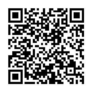 感觉来江州市一个多月的经历似乎都没有今天这么丰富这么刺激二维码生成