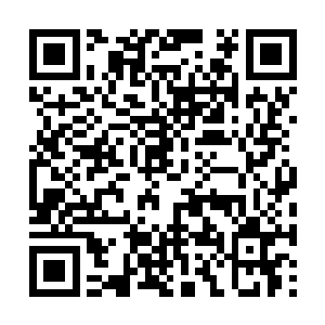 感觉此时的苏洛简直比那些海报上的样子还要动人二维码生成