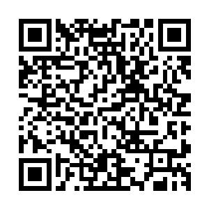 感觉自己凝固好的地之脉轮如同被重锤狠狠的敲打了一下一样二维码生成