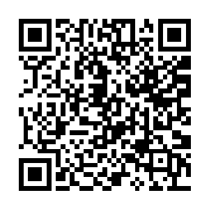 感觉这些攻击已经全部封死了龚良玉可以躲避的角度二维码生成