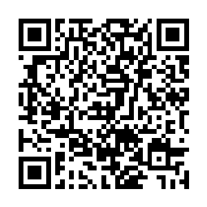 感觉这酒的确和寻常酒店里那些浸泡的药酒不一样二维码生成