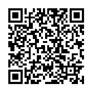 感谢在这次砸车风波和后续危机中帮助过尚动的人二维码生成