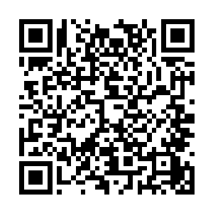 感谢斯蒂文一泽里安经受住了我的折磨完成了剧本二维码生成