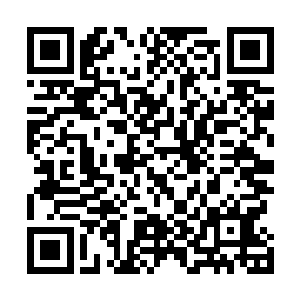 感谢晓露凝霜书友和疯狂的南瓜瓜书友的一万起点币打赏二维码生成