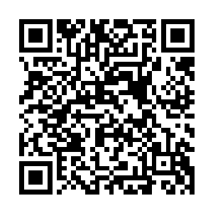 感谢毛毛爱瞌睡亲的平安符~~一天木有粉红的人好忧桑……二维码生成