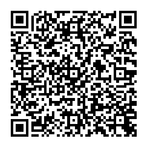 感谢长醉玉红草蔺熯泓丞朵朵宝贝977似水o年华ss一诺千金华胥云00铭宝是懒洋洋蝴蝶玉兰的打赏二维码生成