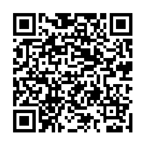 感谢阜头县委县政府对我们这一行入的到来的热情招待二维码生成