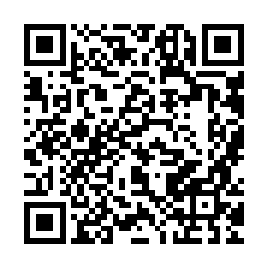 感谢陈市长为我们详细地说明了这次重大贪腐案的前因后果……二维码生成