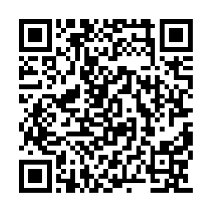 愣了一下……梓箐很快就感应到对方怀疑的目光二维码生成