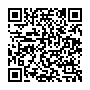 愣了好半响都缓过神来都市版英雄无敌全文阅读二维码生成