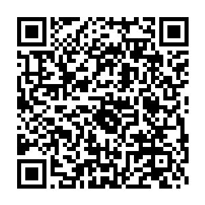 愣是用法宝召唤出了相当于八位紫丹期金仙和一位紫婴期金仙的血魔二维码生成