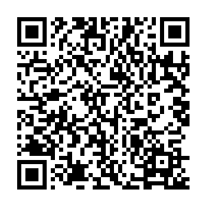 愤怒如今所展现出来的强大力量十有八九是通过燃烧精血所换取的二维码生成