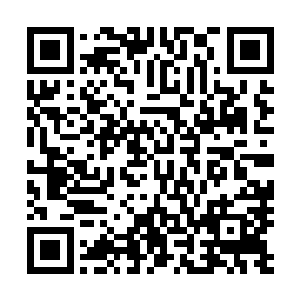 愤怒归愤怒但是叶然依旧是很好的把控着身体内冥树的力量二维码生成