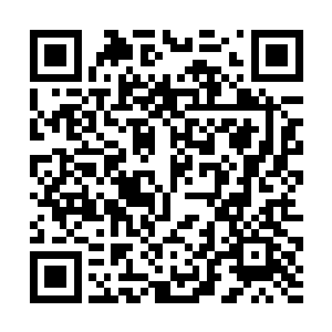 愤怒的拳头也跟伍德恩特的拳头重重的轰击在了一起二维码生成