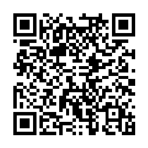 愤怒的拳头终于被伍德恩特手中的长剑给挡了下来二维码生成
