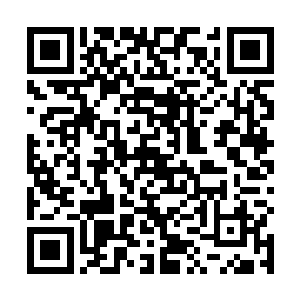 愤怒等人也根本不会把这所谓的狗屁皇家血统放在眼里二维码生成